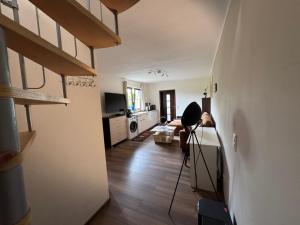 TV a/nebo společenská místnost v ubytování Fuldaer Residenz