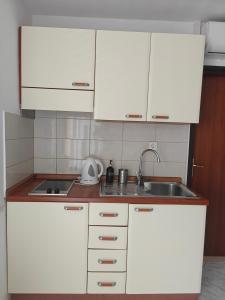 Kuchyň nebo kuchyňský kout v ubytování Apartments Maskovic Karbuni