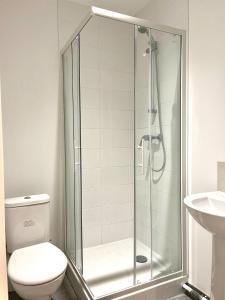 a bathroom with a shower with a toilet and a sink at M010 Marquer joli studio proche de la gare in Annemasse