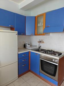 Kuchyň nebo kuchyňský kout v ubytování Apartments Maskovic Karbuni