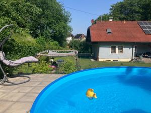 a rubber duck floating in a swimming pool at Ferienwohnung in Moosburg in Moosburg