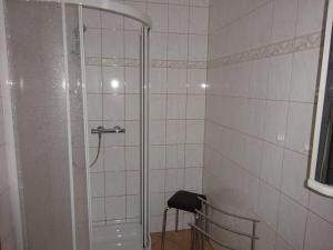 a shower with a glass door in a bathroom at Ferienwohnung Pfanne in Großkoschen +8 photos