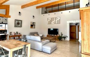 a living room with a couch and a tv at Maison Avec Piscine Privée in Châteauneuf-du-Pape