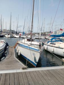 a bunch of boats are docked at a dock at Miraflores in Boulogne-sur-Mer