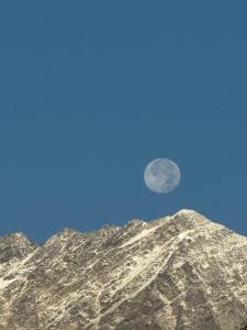 Imagem da galeria de Himalayas Nature Lahaul em Chhorang