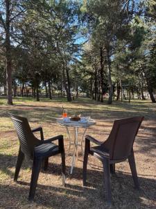 Κήπος έξω από το MC 1640