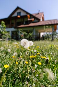 Billede fra billedgalleriet på Pensiunea Tania-Nora i Alexandru cel Bun 