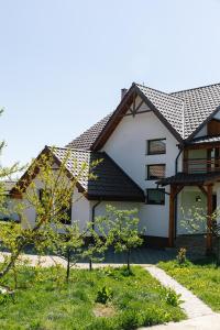 Billede fra billedgalleriet på Pensiunea Tania-Nora i Alexandru cel Bun 