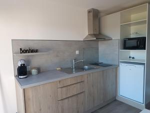 a kitchen with a sink and a refrigerator at Maison studio de jardin in Naucelles