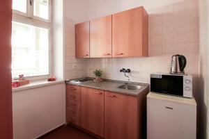 Kuchyň nebo kuchyňský kout v ubytování Hotel Palác Elektra