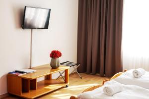 TV a/nebo společenská místnost v ubytování Hotel Palác Elektra