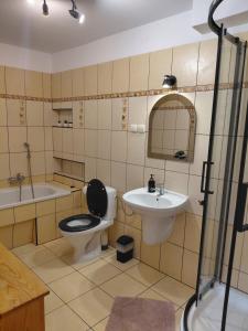 łazienka z toaletą, umywalką i wanną w obiekcie Apartament Na Rozdrożu w Cisnej +8 zdjęć