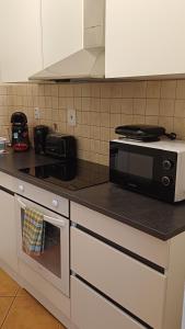 Kuchyň nebo kuchyňský kout v ubytování Nelli apartman free parking