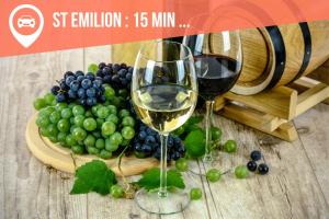 two glasses of wine next to a plate of grapes at Le Clos Saint Jean in Tizac-de-Curton