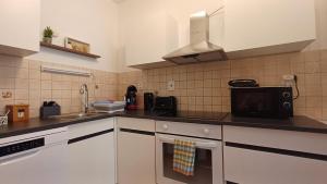 Kuchyň nebo kuchyňský kout v ubytování Nelli apartman free parking + 10 fotografií