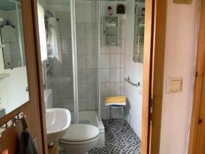 a bathroom with a shower and a toilet and a sink at Ferienhaus "Gluch" in Rechlin