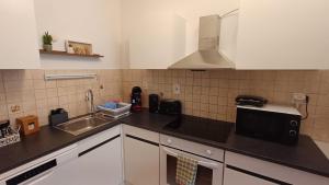Kuchyň nebo kuchyňský kout v ubytování Nelli apartman free parking