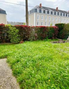 un champ d'herbe devant un bâtiment dans l'établissement Maison calmer & confort, au Mans