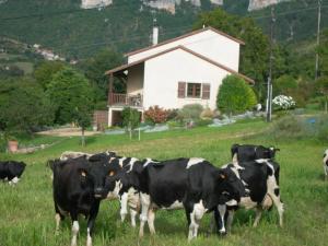 Fotografie z fotogalerie ubytování Le Serre v destinaci Millau