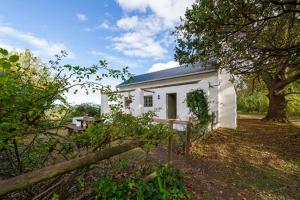 une maison blanche avec un arbre et une clôture dans l'établissement Bramley Cottage, Cheverells Farm, à Grabouw