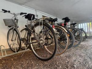 grupa rowerów zaparkowanych w garażu w obiekcie Hotel Splendor w Grado