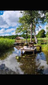 a wooden bench sitting on a dock in a river at Dom nad Wodą in Krąg +10 photos