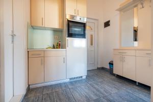 Η κουζίνα ή μικρή κουζίνα στο Apartment Pinea