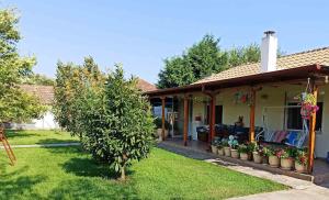 a house with a yard with a tree at Maria's House in Keramoti