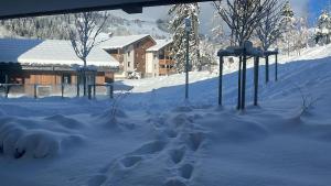 Το Megeve Praz sur Arly Apparthotel eclat des veriaz Studio vue sur jardin τον χειμώνα