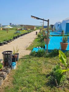 Swimmingpoolen hos eller tæt på Mar a Lago Glamping23