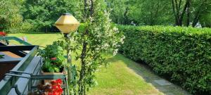 a plant with a light on it next to a hedge at Villa I Cigni Holidays Home in Arona