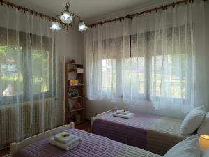 ein Schlafzimmer mit zwei Betten und einem Fenster in der Unterkunft Cozy Garden House in Árgos Orestikón