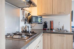 a kitchen with a stove and a sink at Bed & Breakfast de Lindevallei in Oldeberkoop
