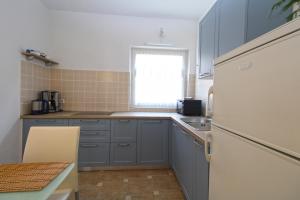Kuchyň nebo kuchyňský kout v ubytování Apartment Bozana 1840