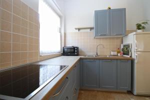 Kuchyň nebo kuchyňský kout v ubytování Apartment Bozana 1840