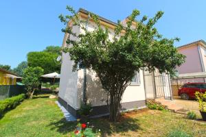 Zahrada ubytování Apartment Bozana 1840