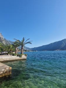 a large body of water with palm trees and mountains at Apartment MMP in Kotor