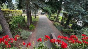 a path in a park with red flowers and a bench at Pod Świerkami in Boszkowo +37 photos