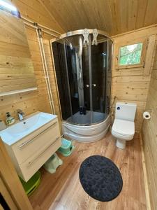 a bathroom with a shower and a sink and a toilet at Familijny domek nad jeziorem in Górzno