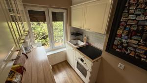 a small kitchen with a sink and a window at Pod Świerkami in Boszkowo