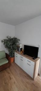 Televízia a/alebo spoločenská miestnosť v ubytovaní Apartman sunny green