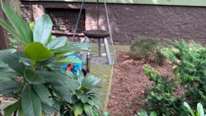a bar stool in a garden with a swing at Pod Świerkami in Boszkowo