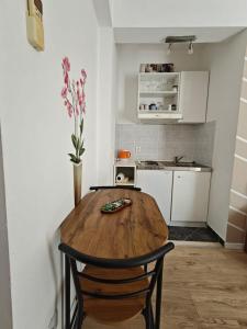 Küche/Küchenzeile in der Unterkunft Apartments Miljas