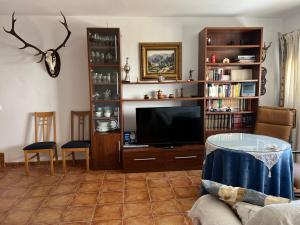 a living room with a tv and bookshelves at Casa Fuente Alhama in Luque