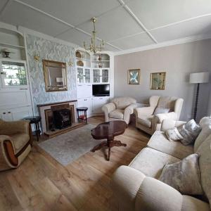 アビーフェールにあるAbbeyfeale Home - Sleeps 6 - Convenient Locationのソファと暖炉のあるリビングルーム