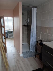 a bathroom with a shower with a shower curtain at Appartement cosy à Chamagne in Chamagne +17 photos