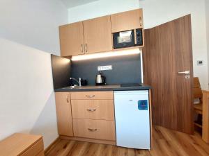 Kuchyň nebo kuchyňský kout v ubytování Pohoda u Žofína + 19 fotografií