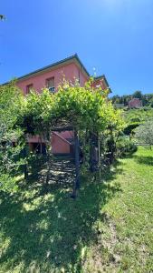 a house with a bunch of grape trees in a yard at Little Paradise - charming apartment in Labin