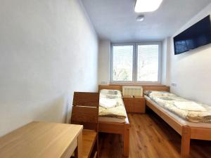 Postel nebo postele na pokoji v ubytování Pohoda u Žofína