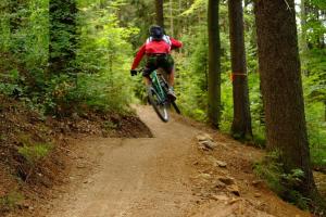 a person riding a bike on a dirt trail at Apartmán Albrechtice in Albrechtice v Jizerských horách